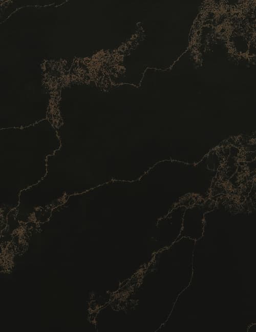 Carrara Noir