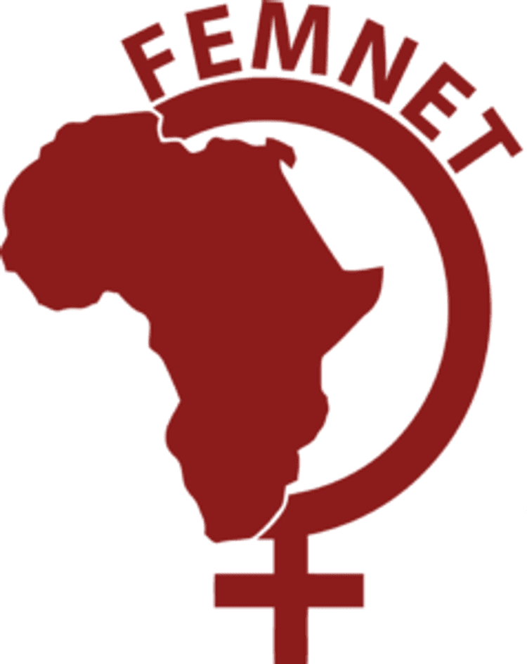 Image shows the logo of Femnet.