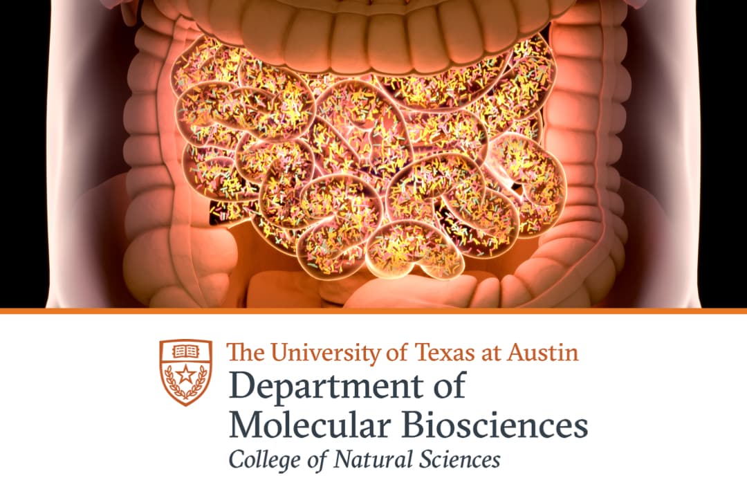 The University of Texas at Austin's Department of Molecular Biosciences: Precision Editing of Microbiomes