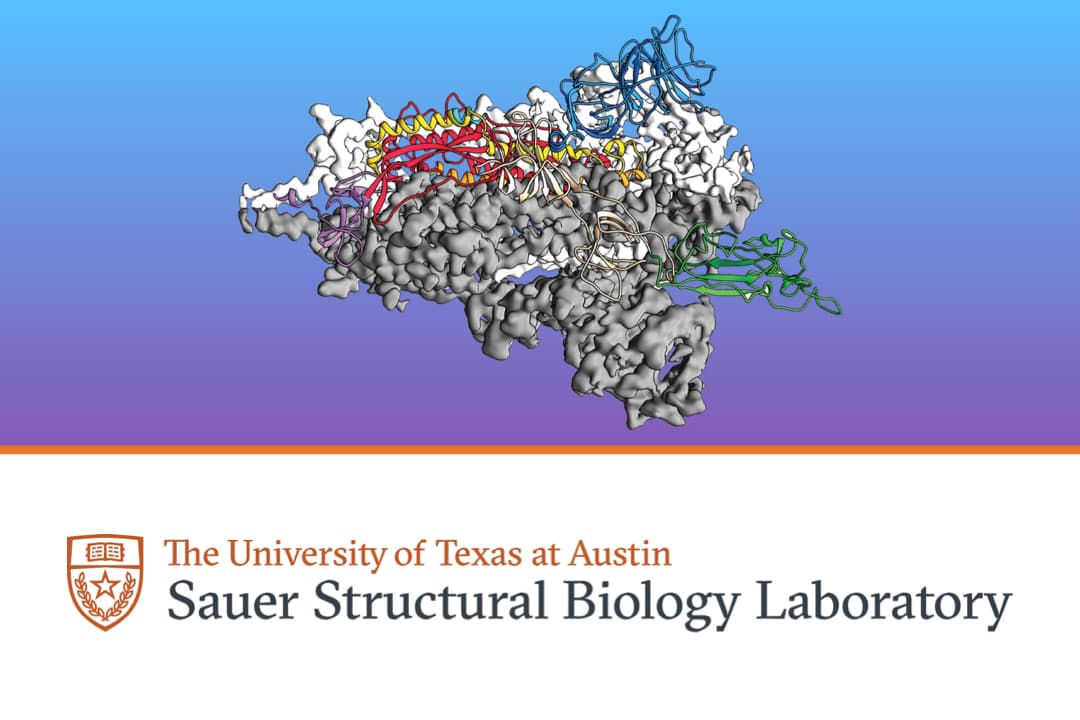The University of Texas at Austin's Sauer Structural Biology Lab: Texas Leadership in Vaccine Development