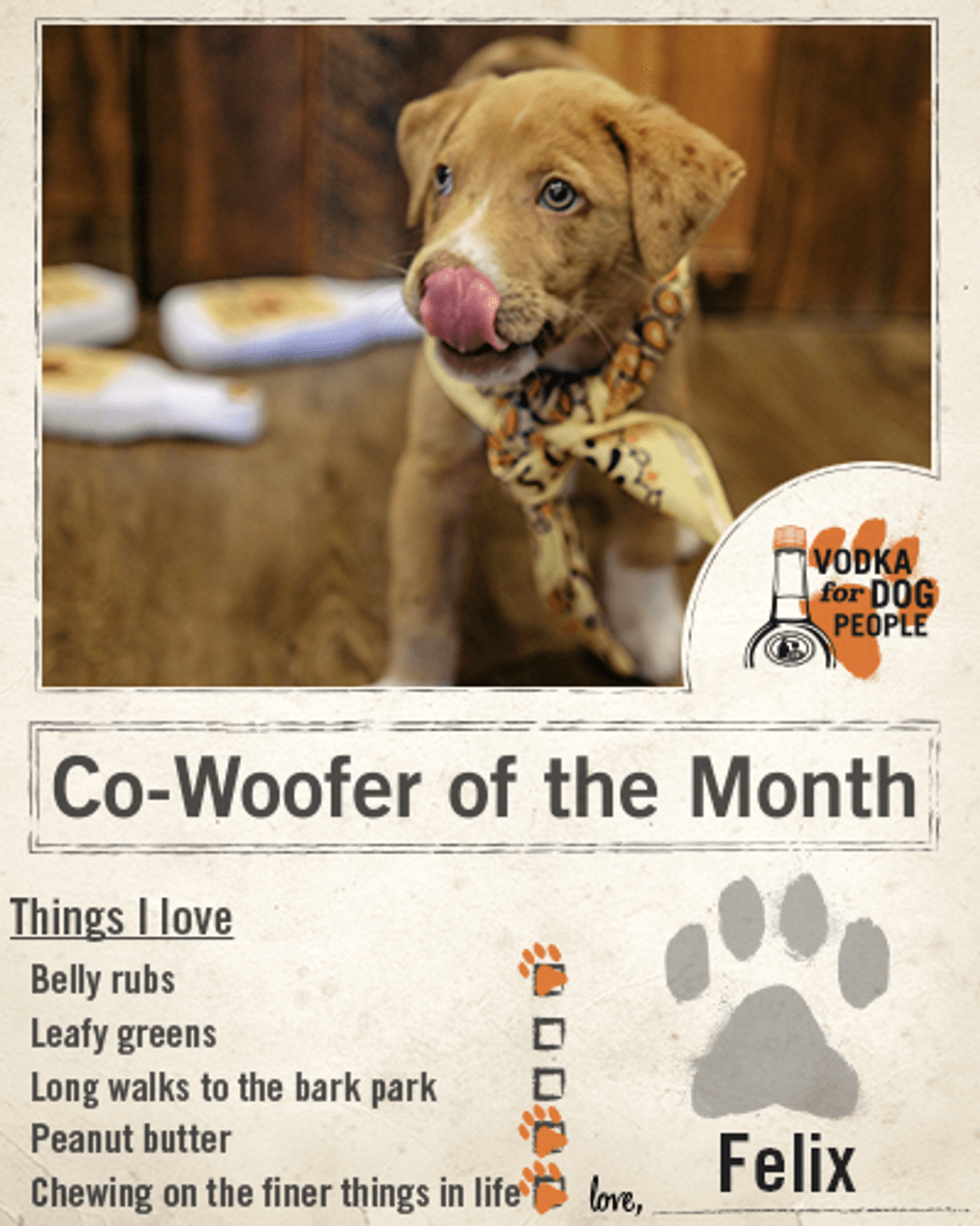 Tito's Vodka Co-Woofer of the Month Questionnaire