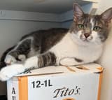 Tito's Vodka Love Your Pet Day