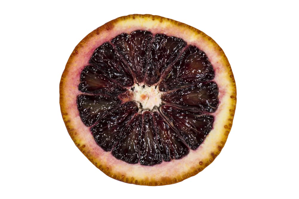 Tito's Vodka Blood Orange Ingredient