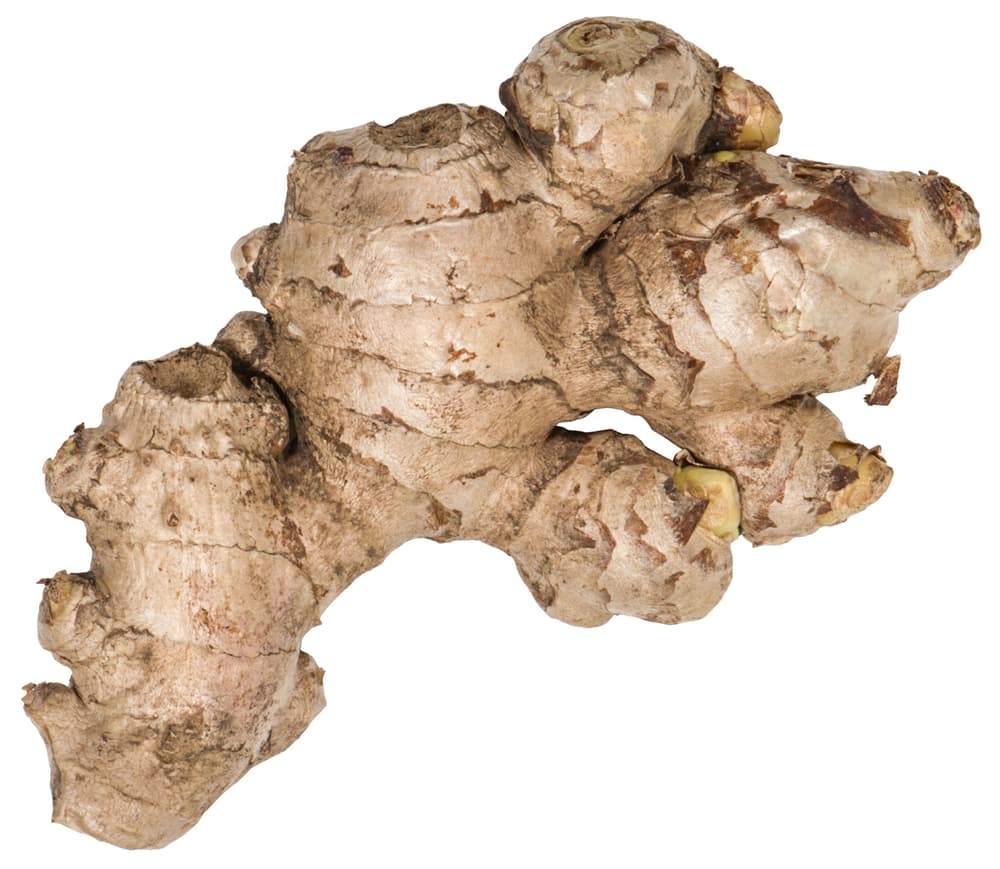 Tito's Vodka Ginger Ingredient