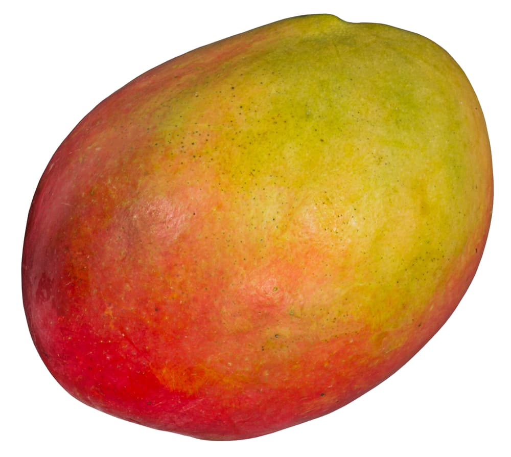 Tito's Vodka Whole Mango Ingredient