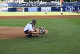 Dog on Pitch Mound at Tito's Vodka Bark in the Park