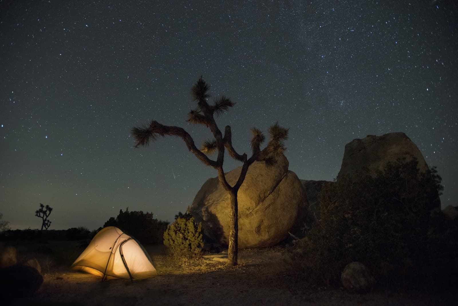 Joshua Tree National Park with a Camping Tent