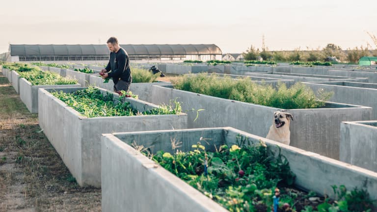 Farm planters