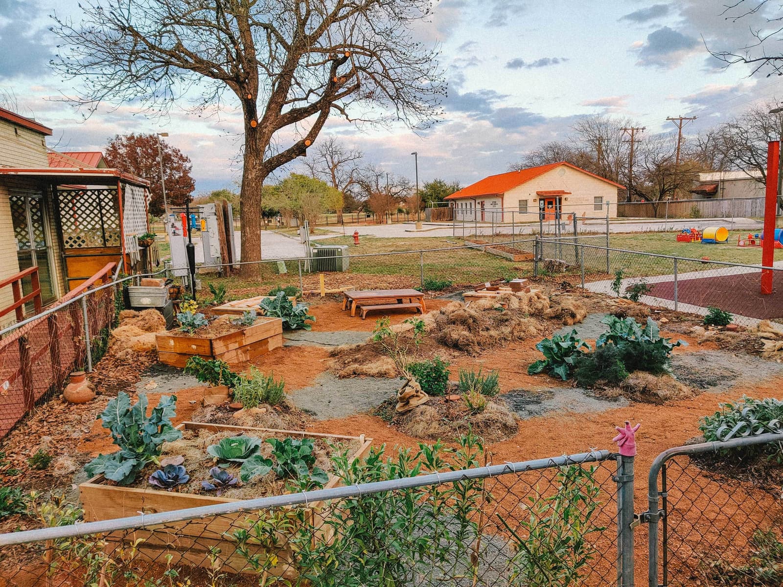 Green Spaces Alliance Farm after project