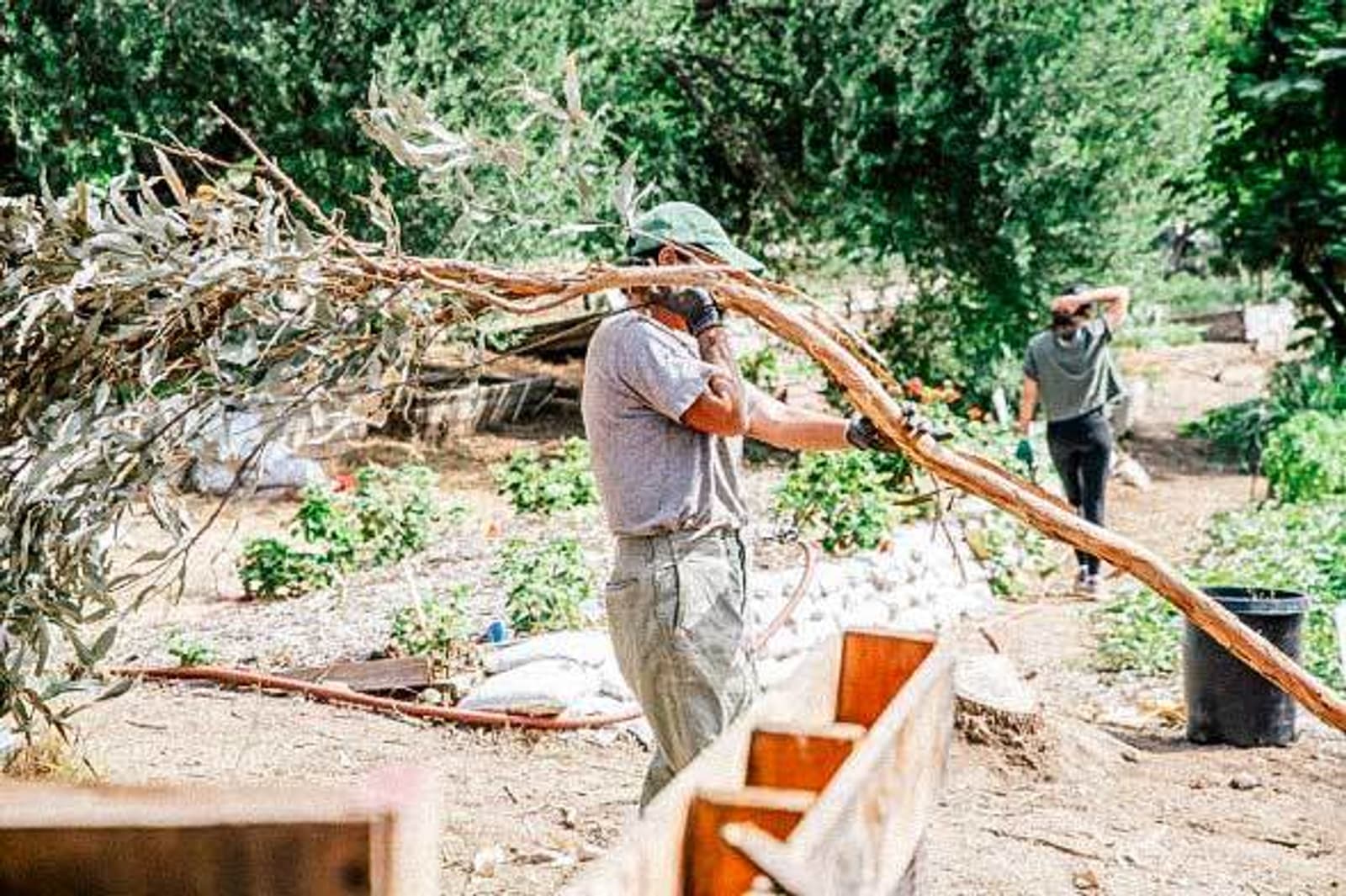 Volunteer at Solano Canyon Garden