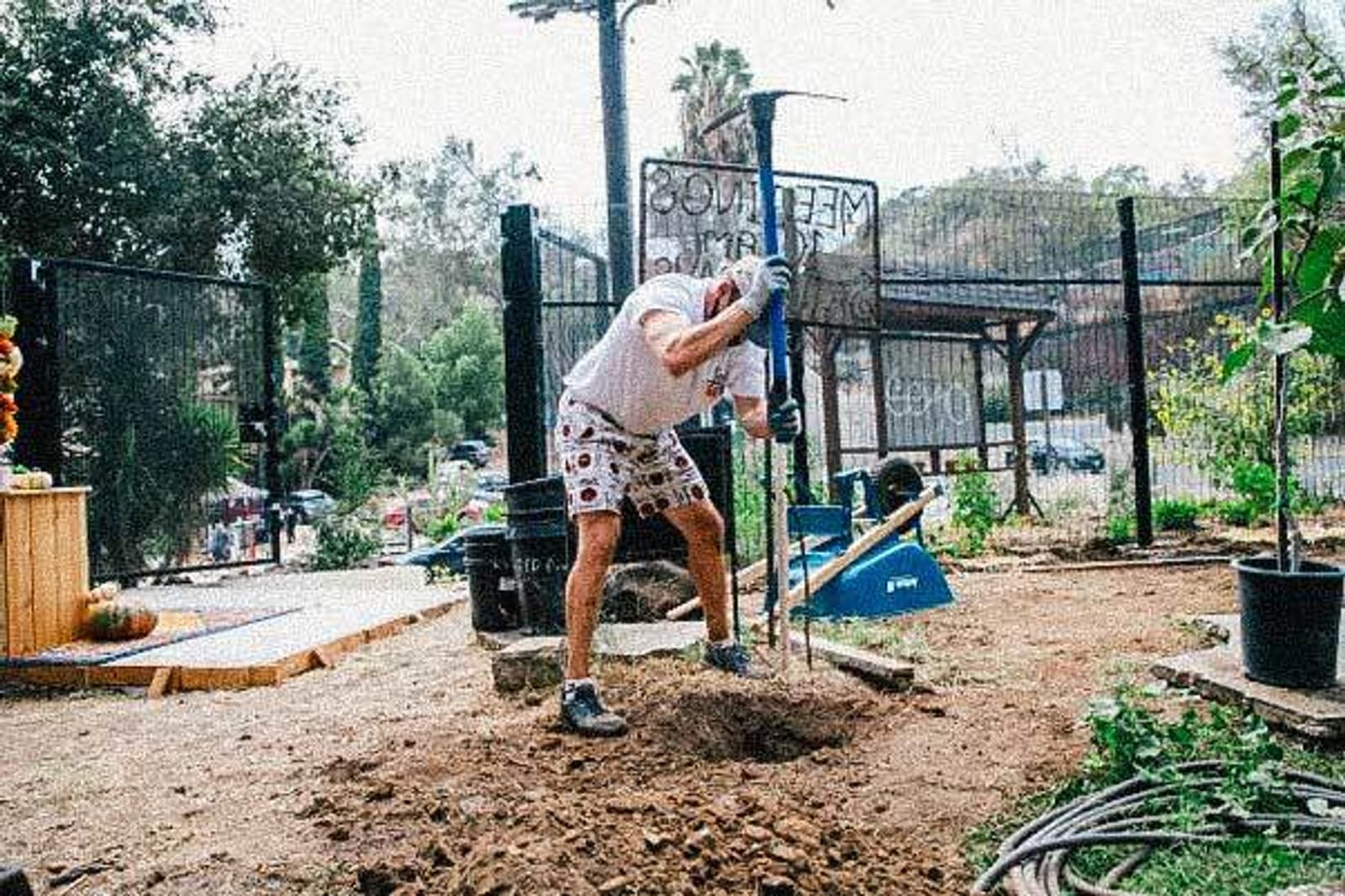 Volunteer at Solano Canyon Garden