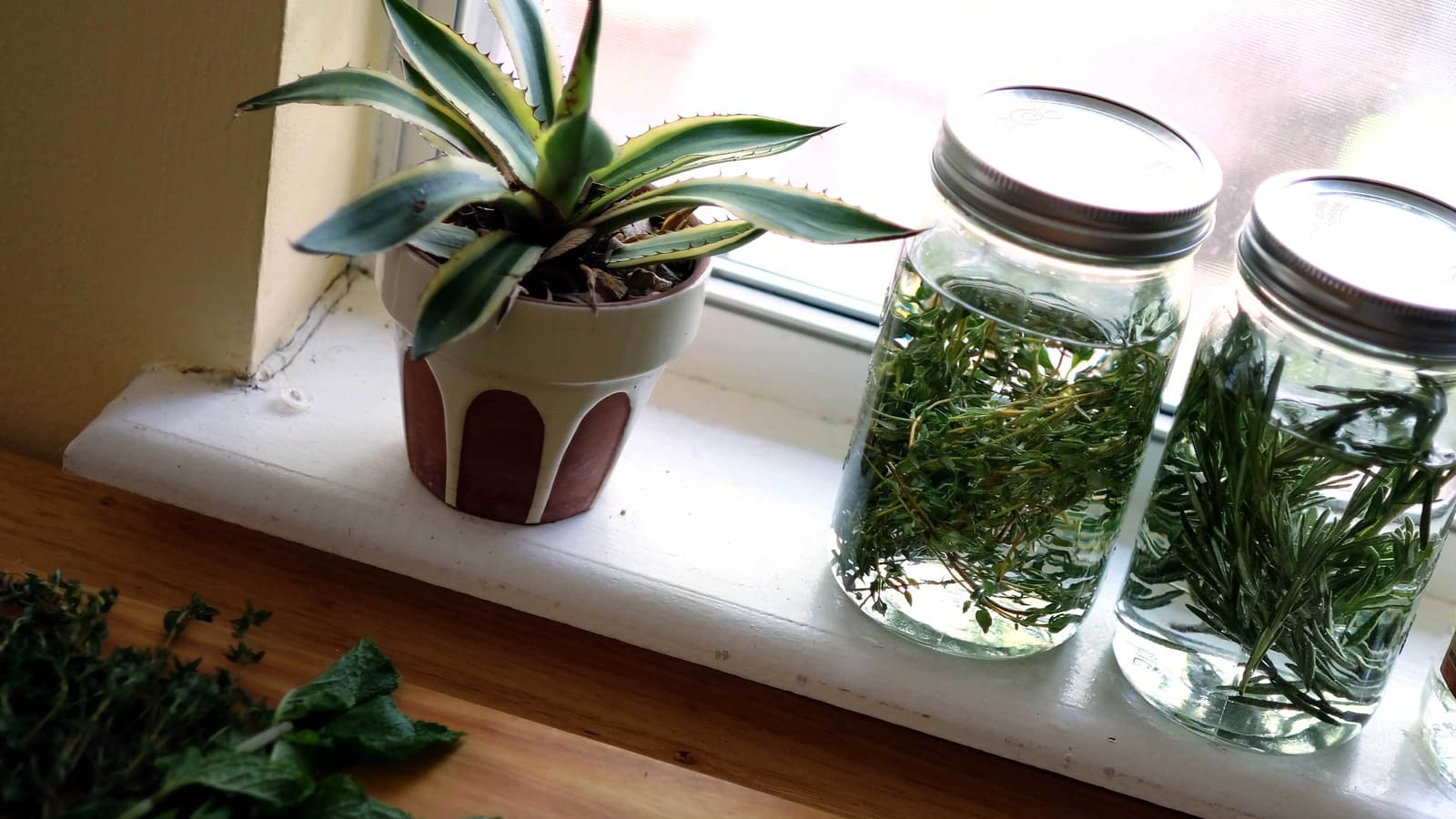 Mason Jar Infusions