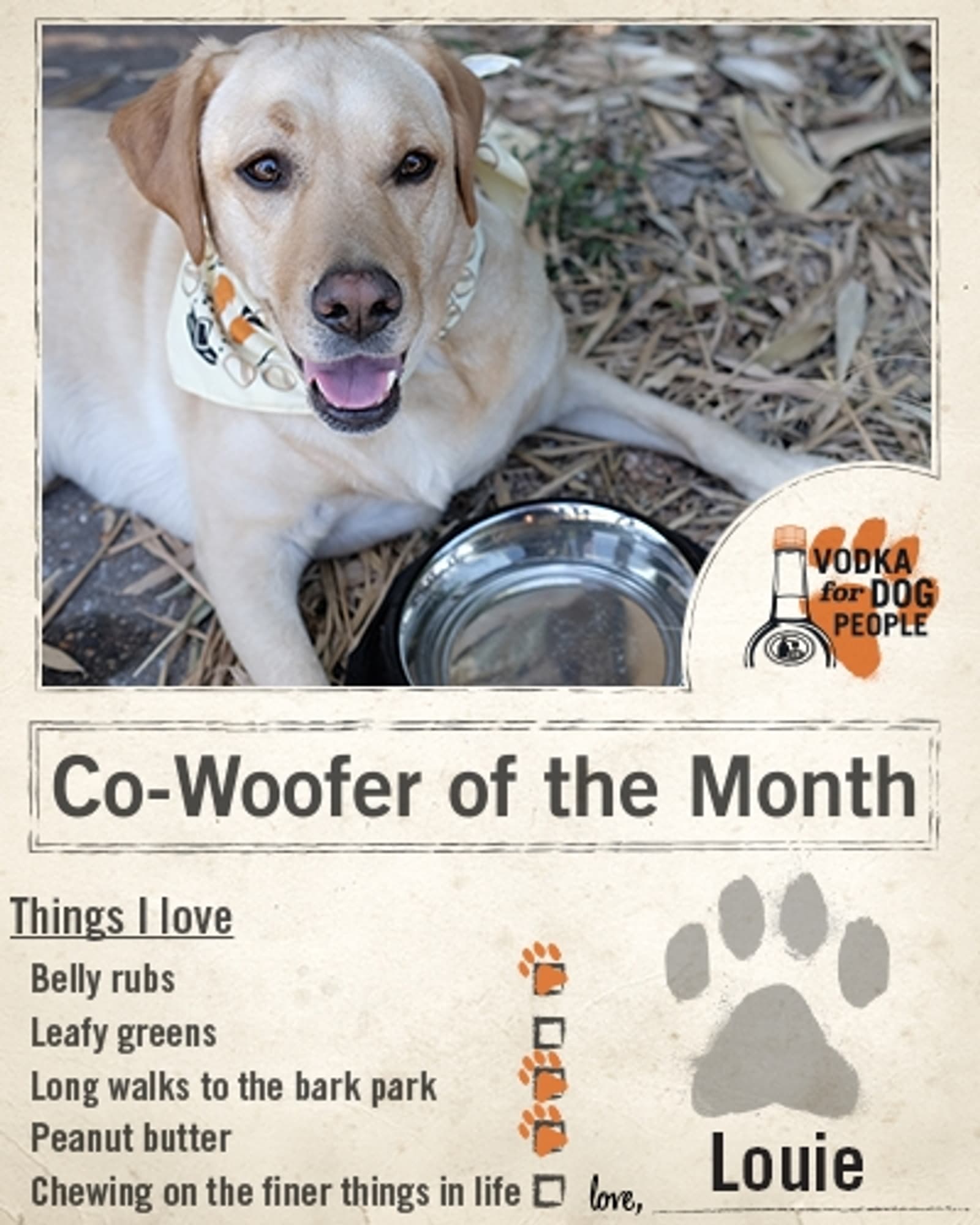 Tito's Vodka Labrador Retriever Dog Cowoofer Questionnaire