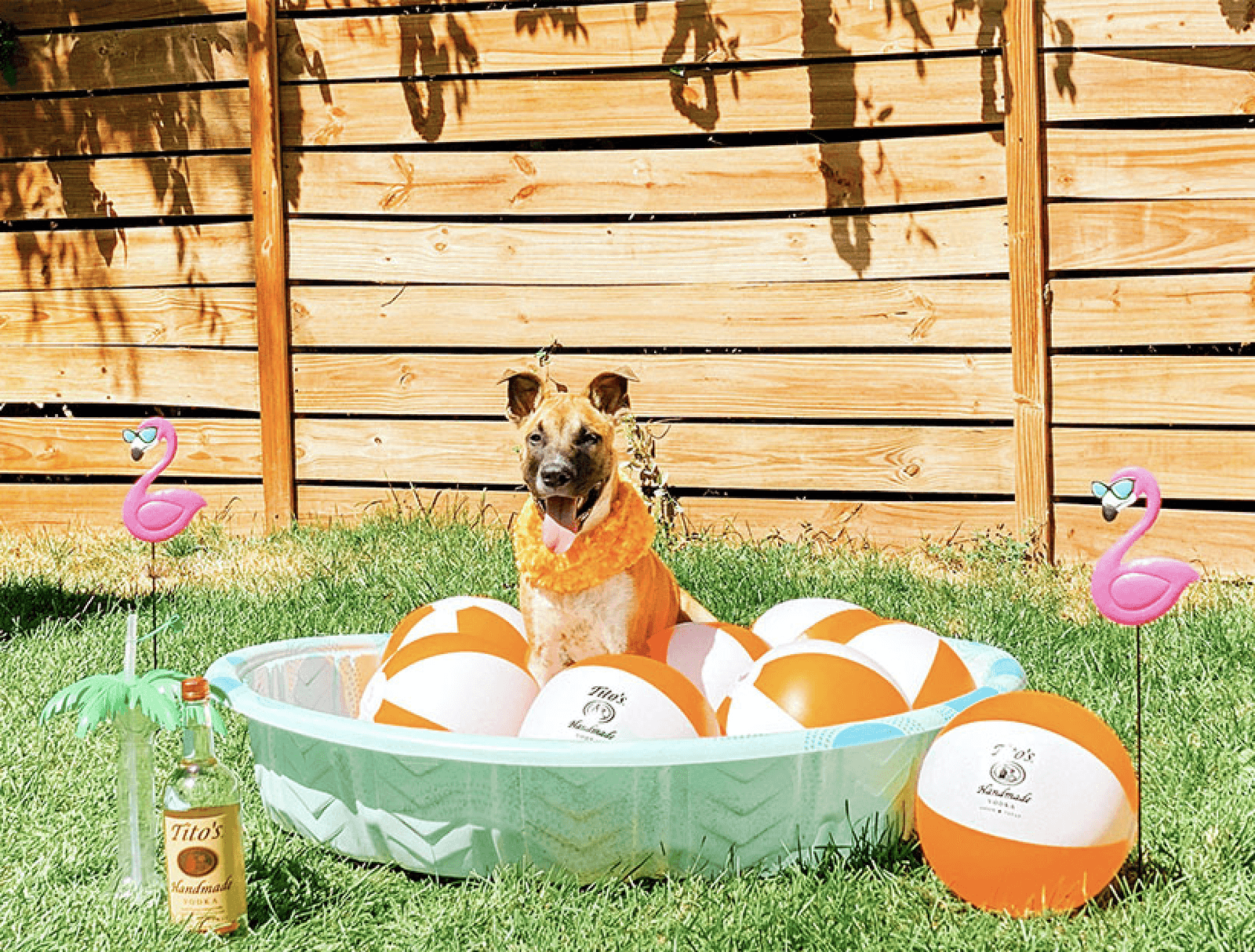 Weller enjoying the outdoors and some Tito's beach balls