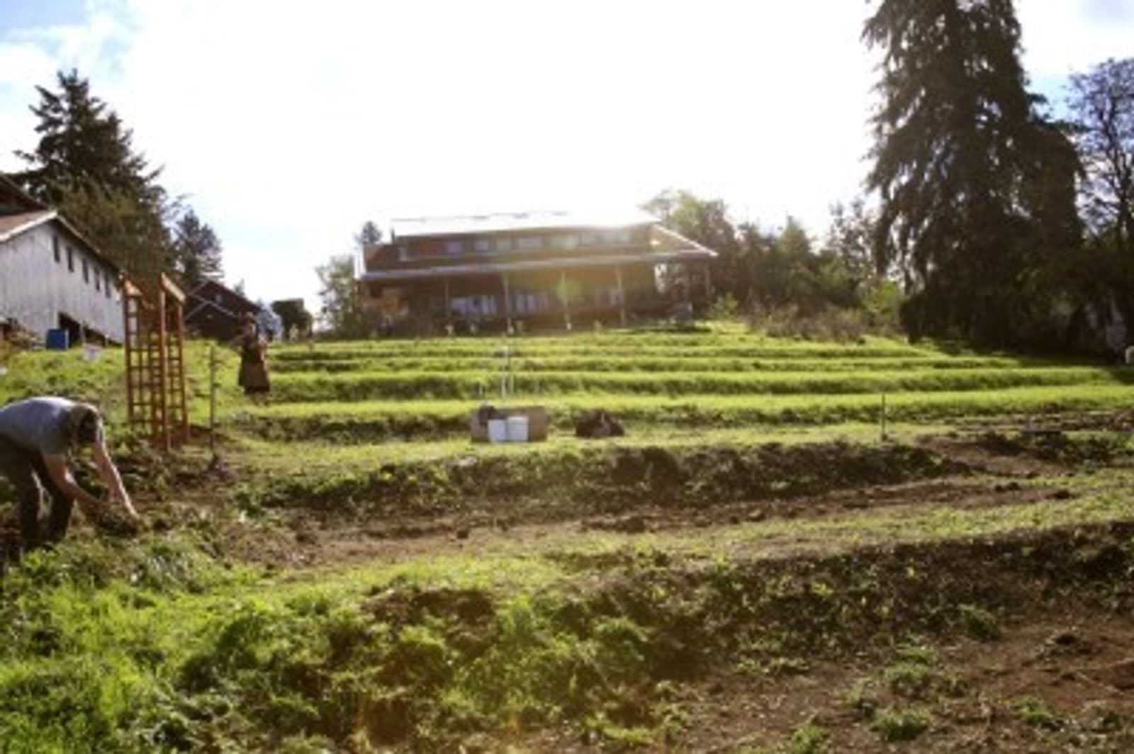 Overview of Zenger Farm