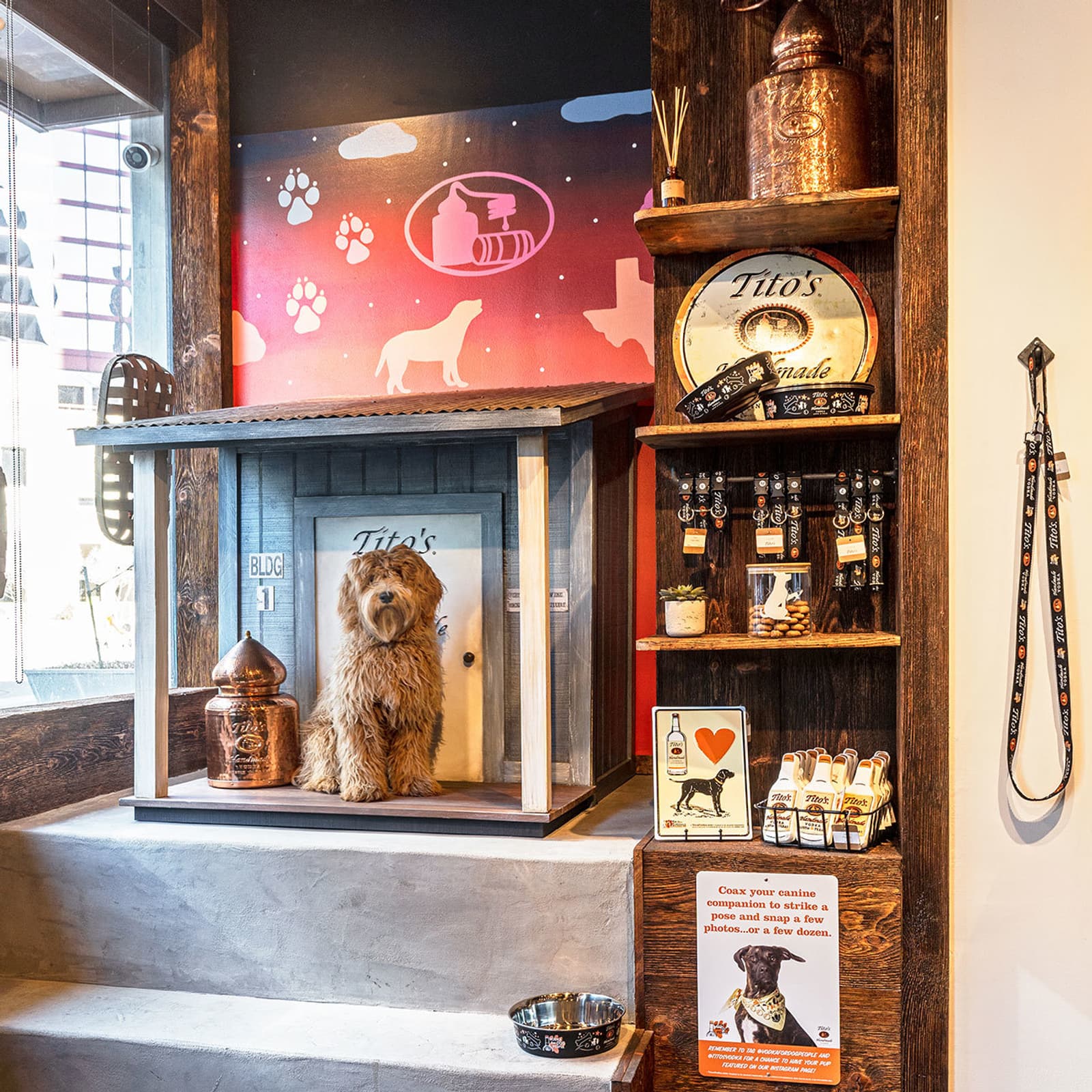 Dog in the Tito's photobooth at the Love, Tito's retail store