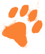 Orange dog paw print illustration