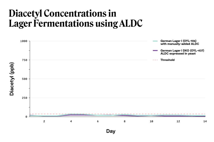 Aldc Blog Putting ALDC to the Test: Lager Edition | Top Crop