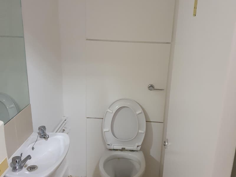 Existing white WC