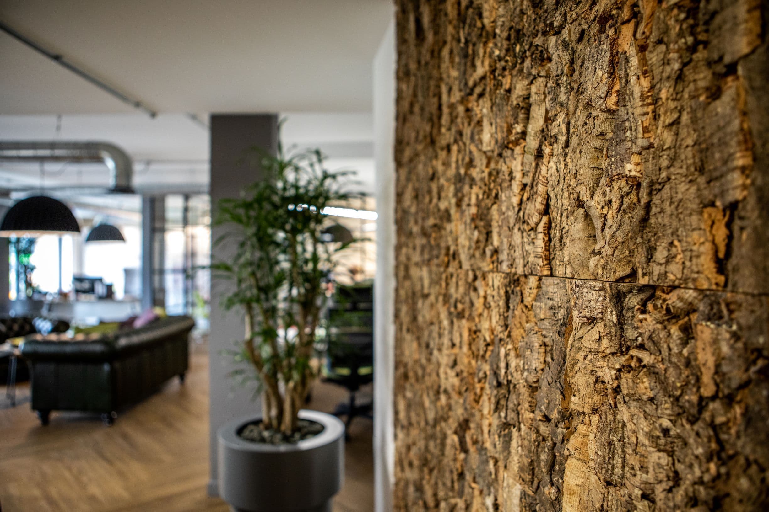 Bark wall and plants in office