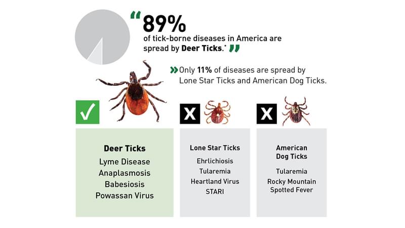Tick Control Tubes Kill Deer Ticks