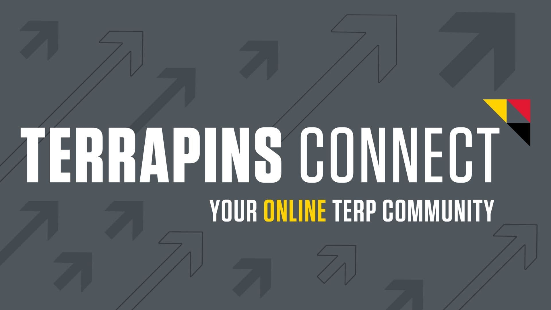 Terrapins Connect