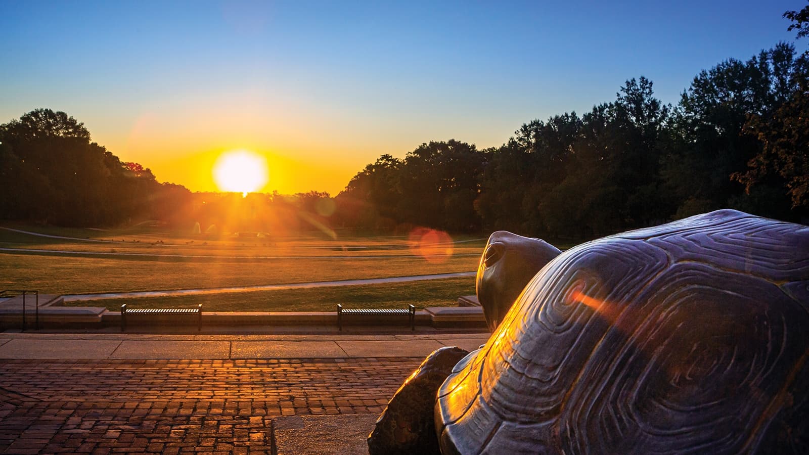 Bronze Testudo Sunrise over McKeldin Mall