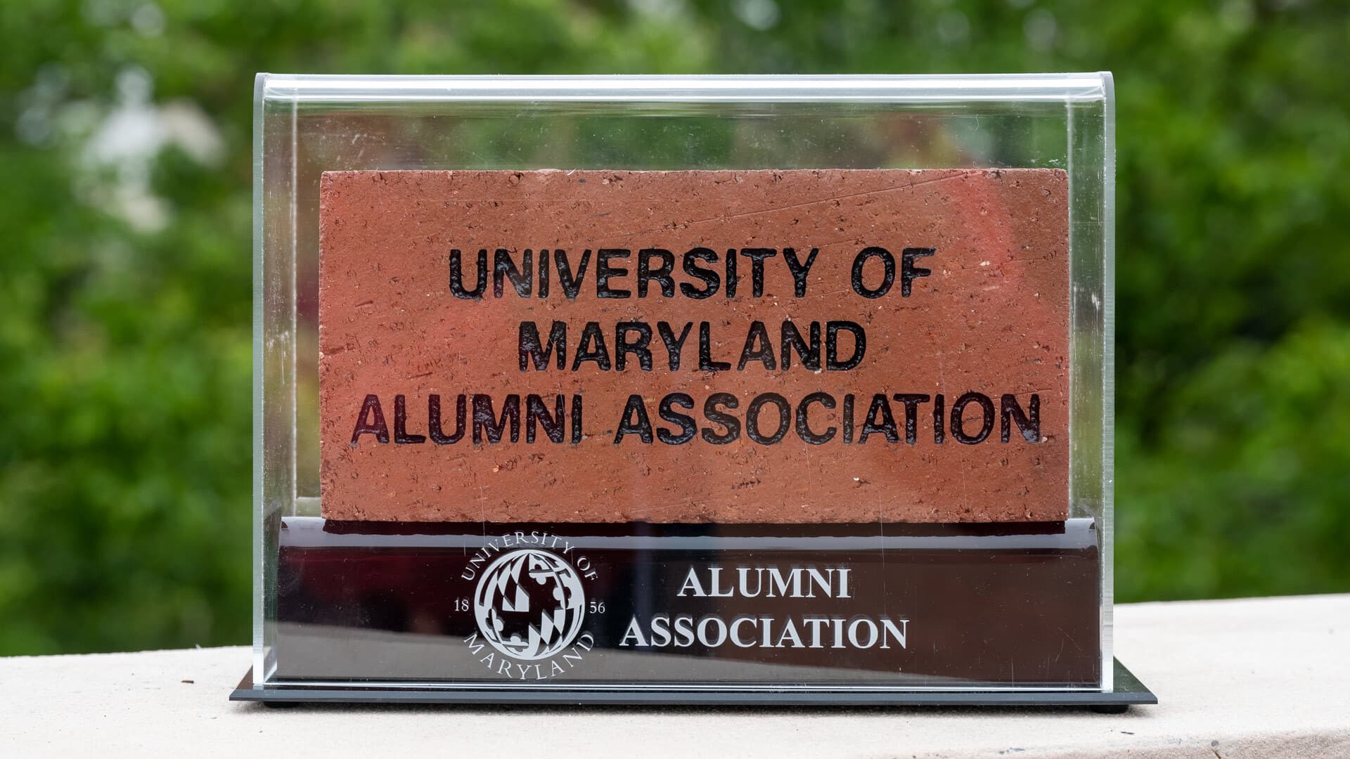 University of Maryland Alumni Association personalized brick in a display case.