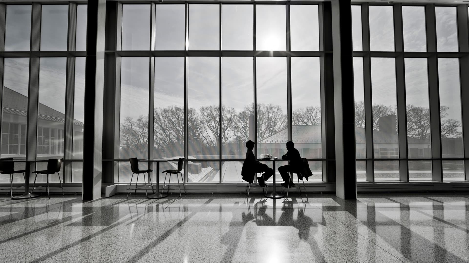 Gray Scale. Two individuals sit in deep discussion at a table, both silhouetted by a bright warm sun shining through floor to ceiling windows.