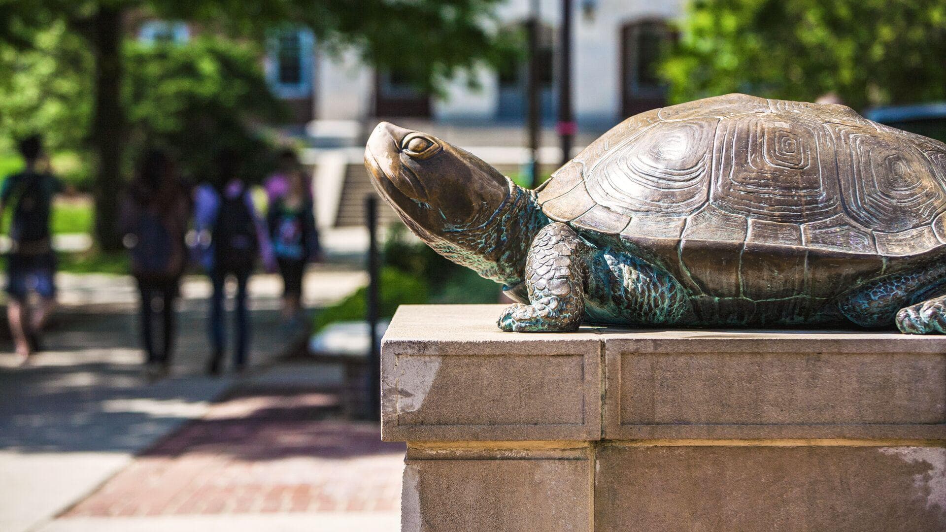Side view of Testudo's bronze statue in front of Mckeldin Library on a bright sunny day. Students walk to and from in the background.