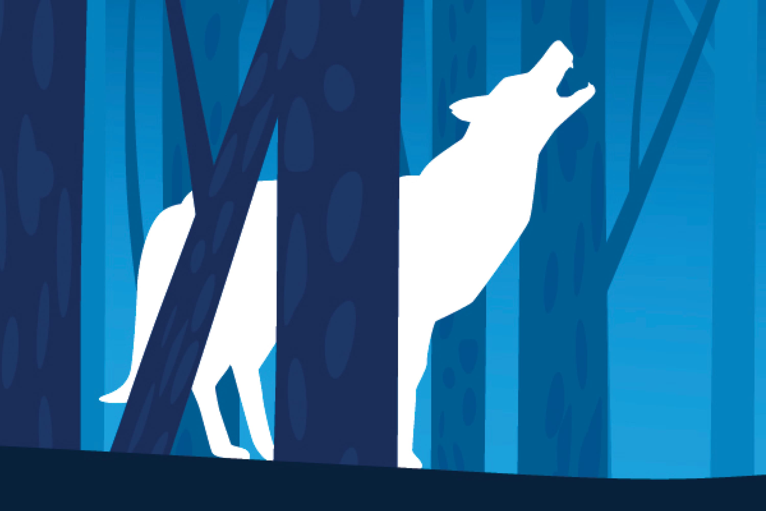 A wolf howls in the woods.
