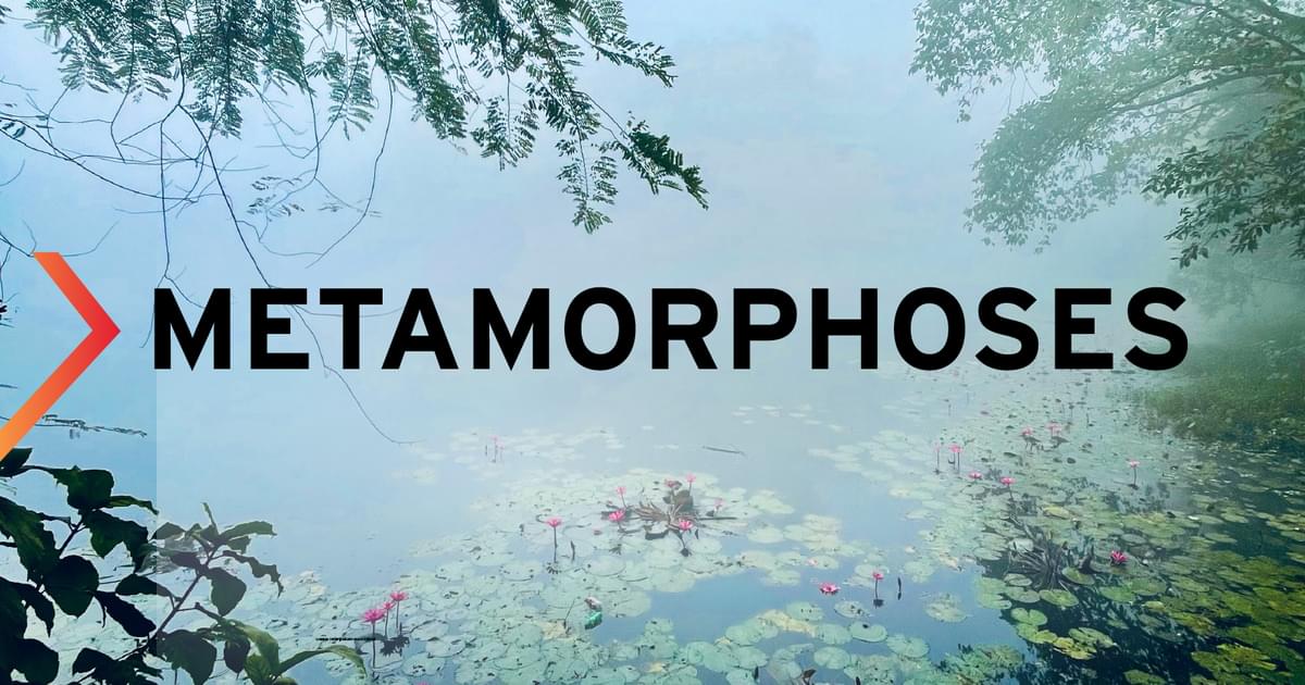 University of Maryland Calendar Metamorphoses