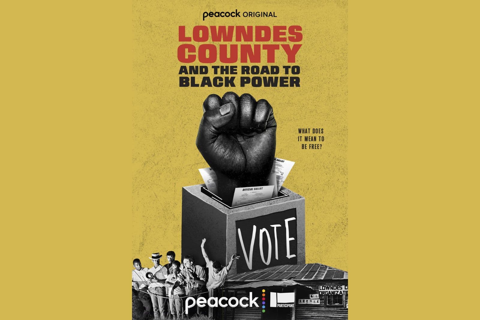 Lowndes County and The Road to Black Power