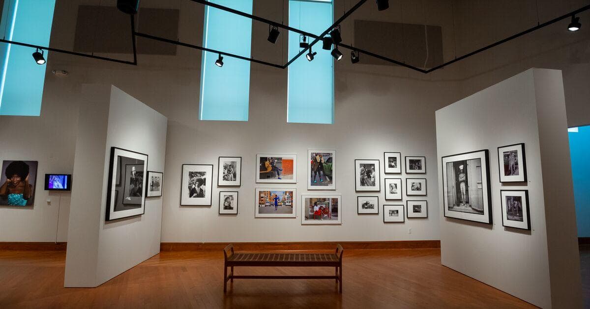 Bright lights illuminate framed art on the walls inside the Driskell Center