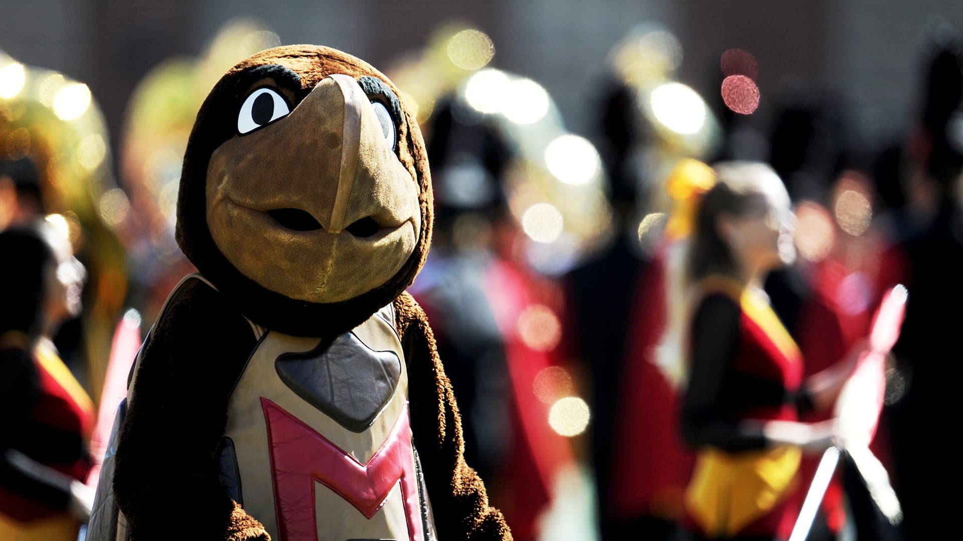 image of Testudo Placeholder