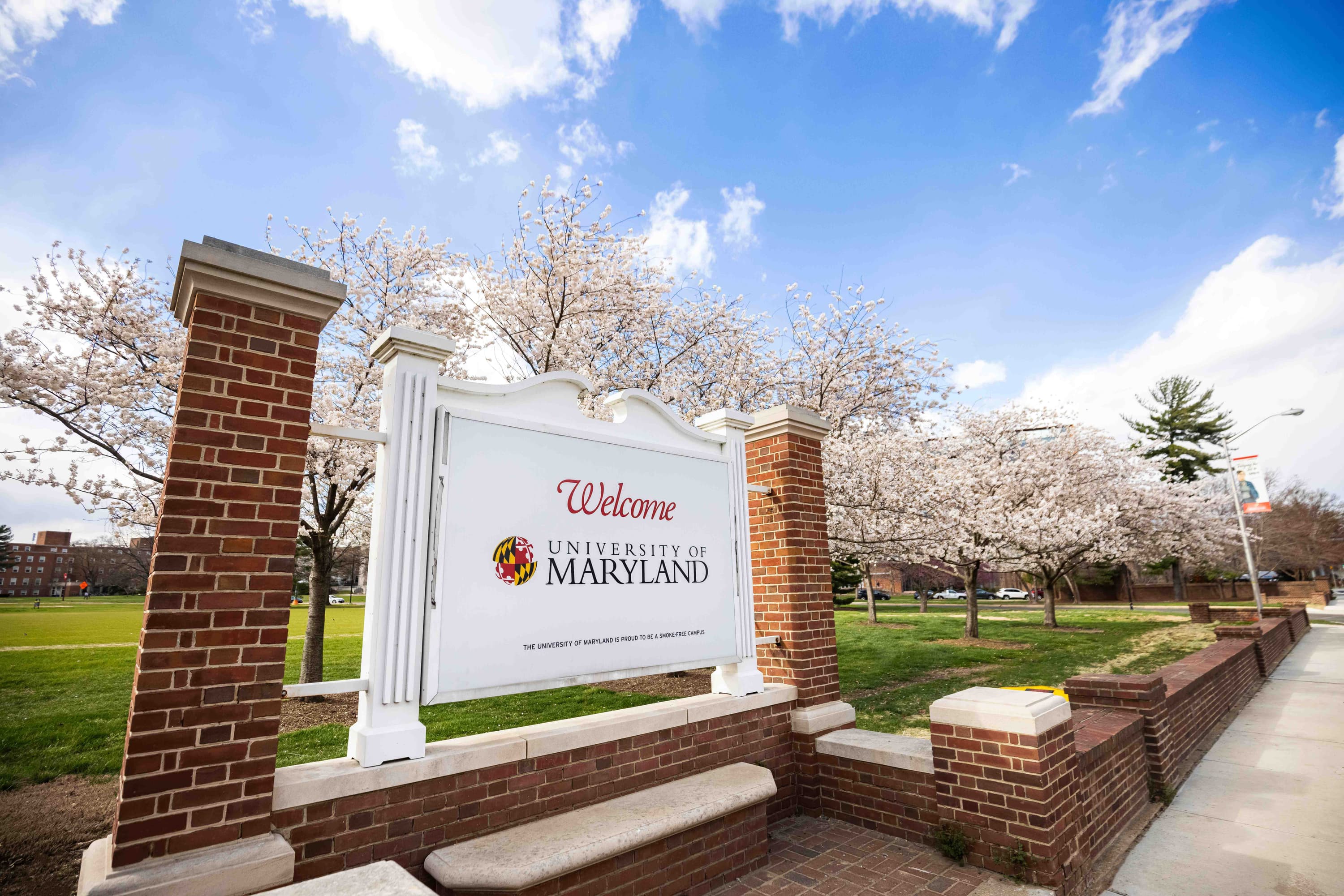 Welcome Sign for the University of Maryland with Blooming Cherry Blossom Trees in the Background