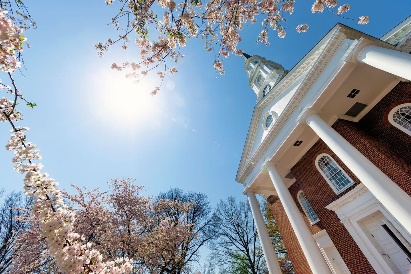 View of Memorial Chapel looking up from the ground through cherry blossoms with a blue sky.