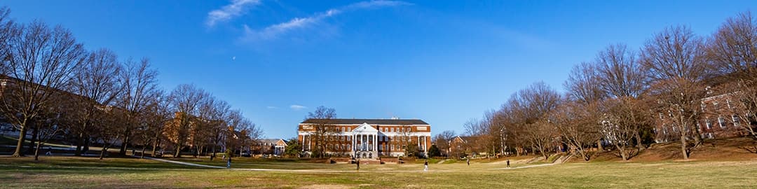 Photograph of McKeldin Mall during the winter