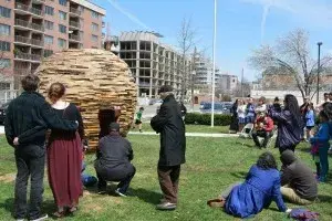 Tree of life photo