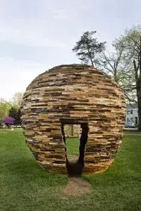 Tree of life photo