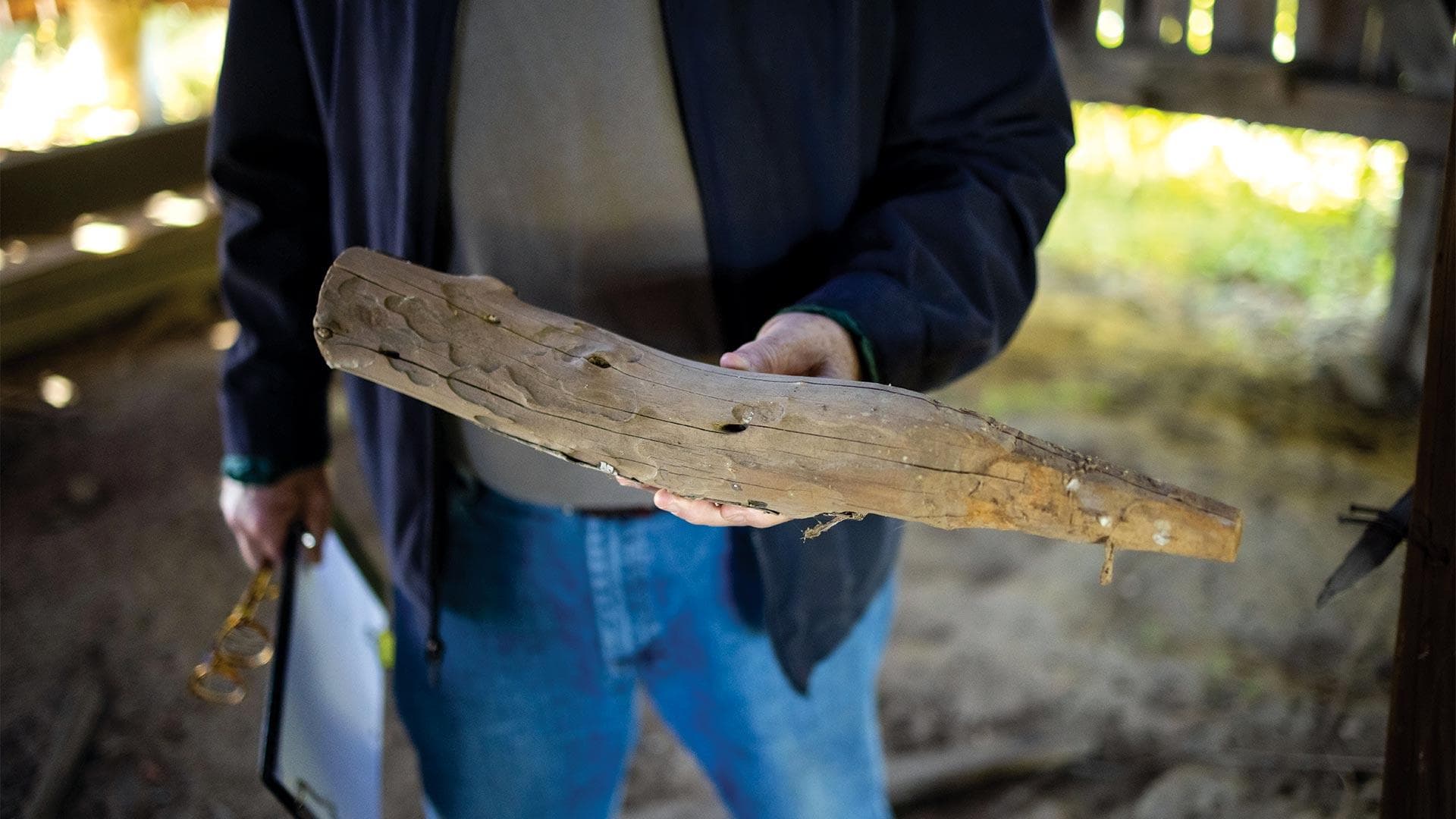 man holds log