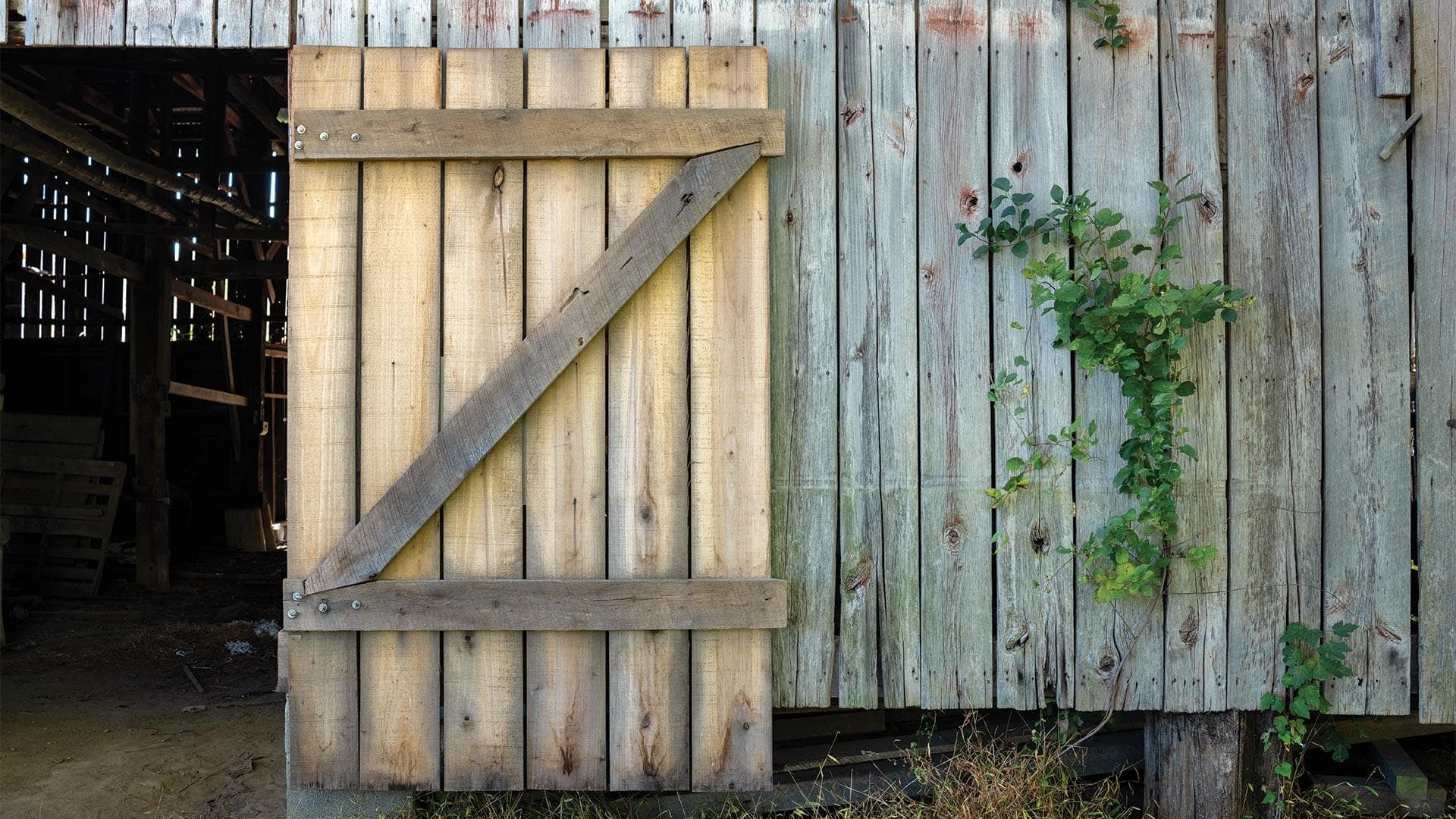open barn door