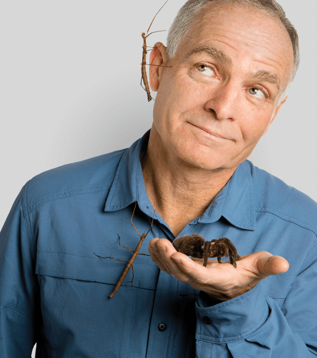 photo ofBug guy