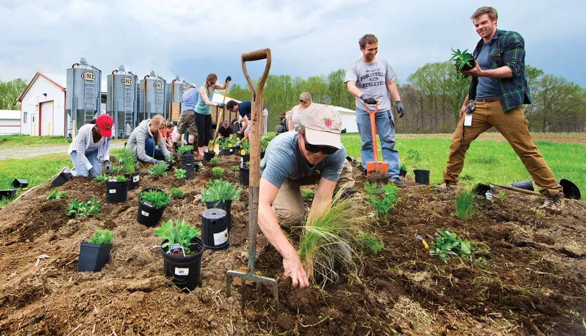 Planting