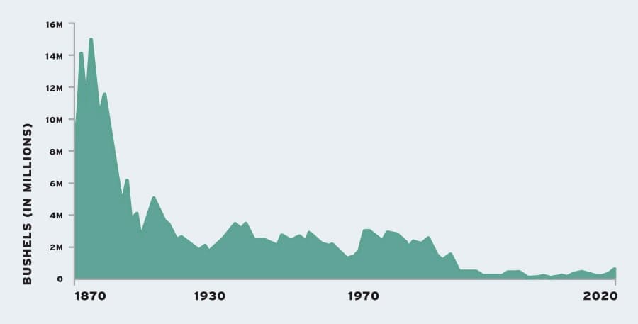 Chart showing declining oyster harvest