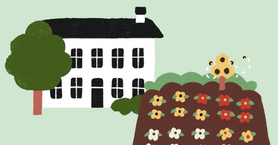 House with a garden