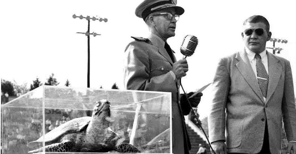 man holds microphone while presenting taxidermied sea turtle on field