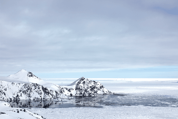 photo ofGreenland Artwork 620