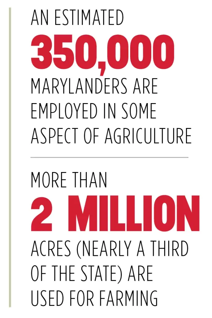 350,000 marylands are employed on farms