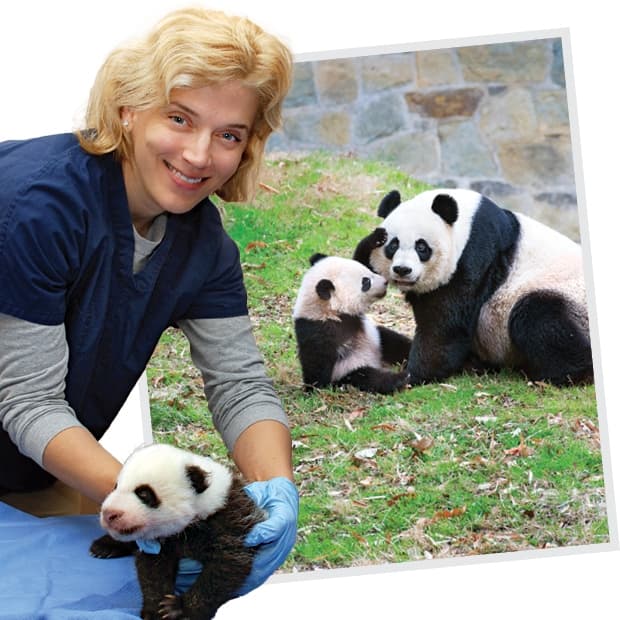 photo ofTERPF15 Panda Smith